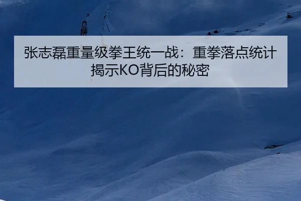 张志磊重量级拳王统一战：重拳落点统计揭示KO背后的秘密