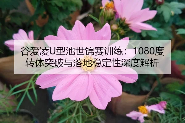 gu-ai-ling-xing-chi-shi-jin-sai-xun-lian-du-zhuan-ti-tu-po-yu-luo-di-wen-ding-xing-shen-du-jie-xi-3-752.jpg