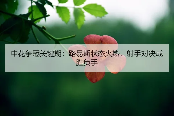 shen-hua-zheng-guan-guan-jian-qi-lu-yi-si-zhuang-tai-huo-re-she-shou-dui-jue-cheng-sheng-fu-shou-2-439.jpg