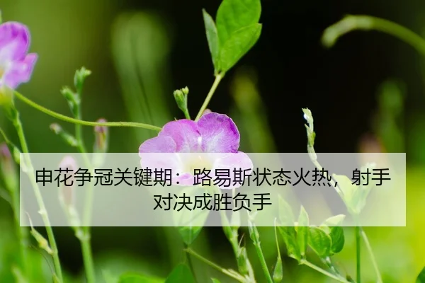 shen-hua-zheng-guan-guan-jian-qi-lu-yi-si-zhuang-tai-huo-re-she-shou-dui-jue-cheng-sheng-fu-shou-3-782.jpg