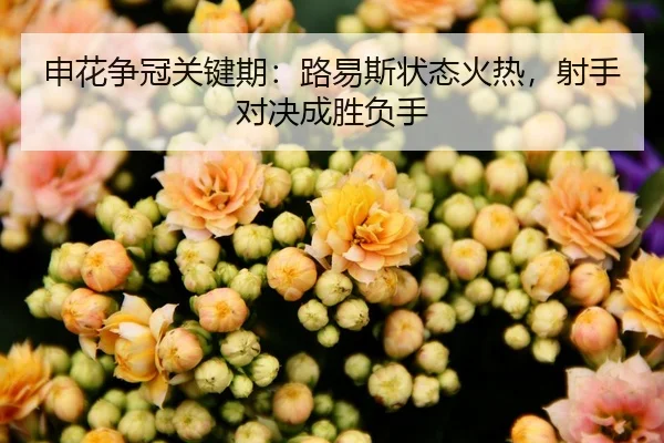 申花争冠关键期：路易斯状态火热，射手对决成胜负手