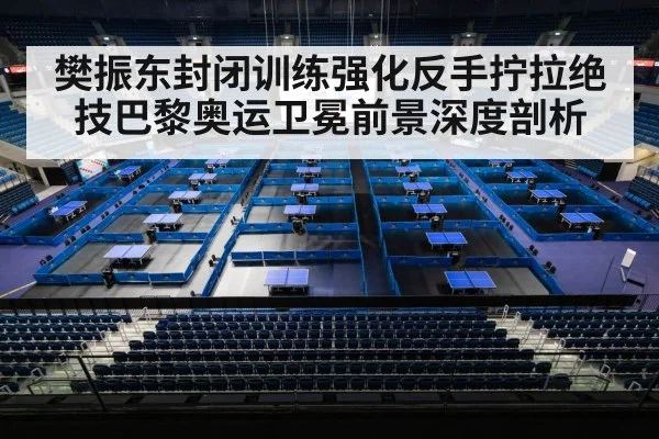 Olympic table tennis