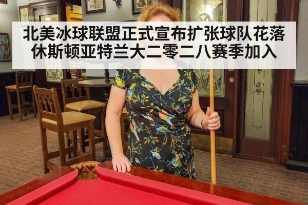 北美冰球联盟正式宣布扩张球队花落休斯顿亚特兰大二零二八赛季加入