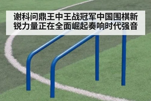谢科问鼎王中王战冠军中国围棋新锐力量正在全面崛起奏响时代强音