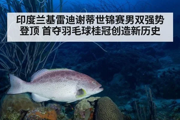 印度兰基雷迪谢蒂世锦赛男双强势登顶 首夺羽毛球桂冠创造新历史